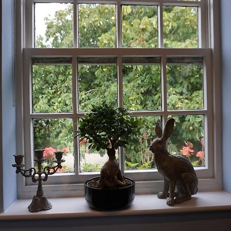 The Tickled Trout Inn Bilton-In-Ainsty ヨーク エクステリア 写真